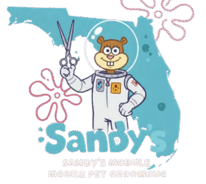 mobile dog grooming near me mobile dog grooming near me
