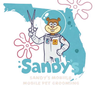 dog grooming west palm beach dog grooming west palm beach