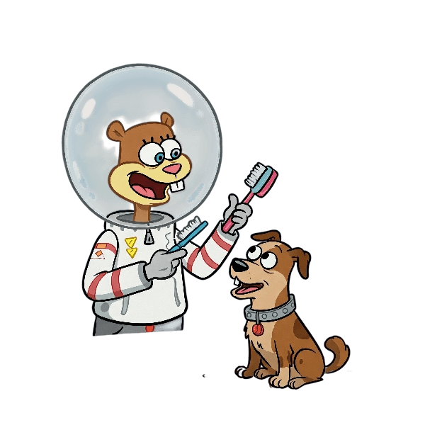 mobile pet grooming near me mobile pet grooming near me